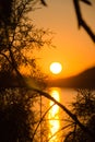 Sonnenuntergang hinter einer Baum Silhouette